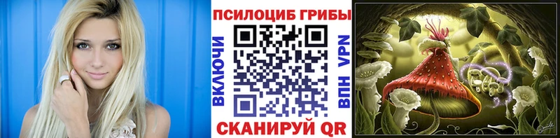 Галлюциногенные грибы Psilocybe  shop формула  Щёкино 