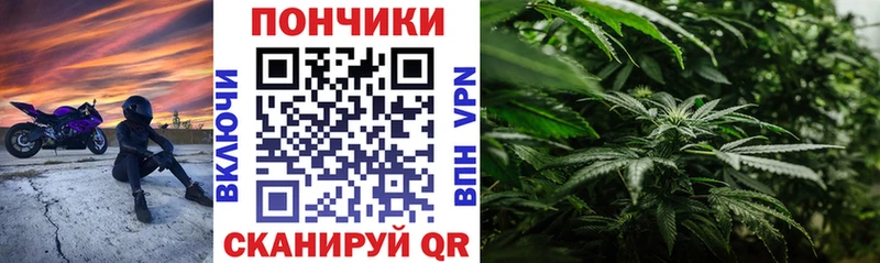 Бошки Шишки AK-47  наркотики  Щёкино 